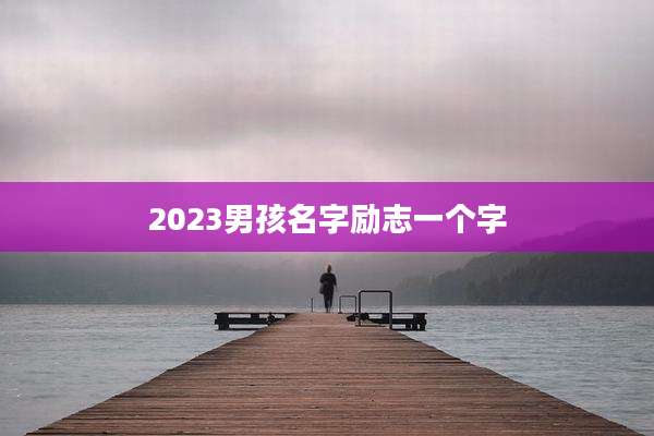 2023男孩名字励志一个字
