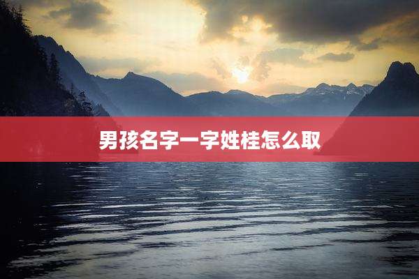 男孩名字一字姓桂怎么取