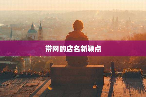 带网的店名新颖点
