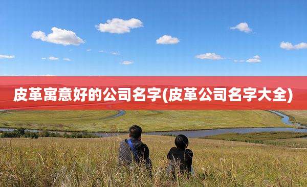 皮革寓意好的公司名字(皮革公司名字大全)