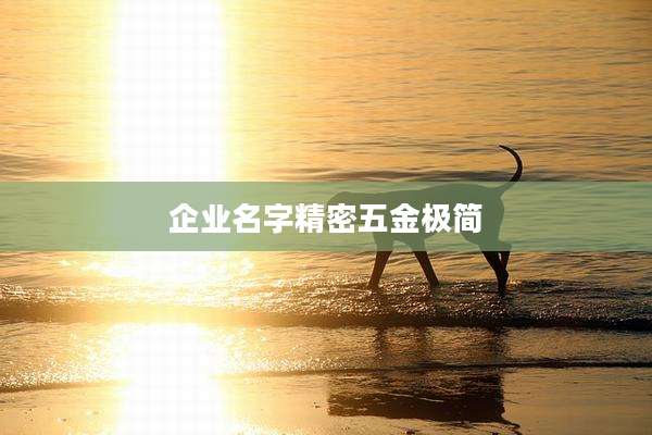 企业名字精密五金极简