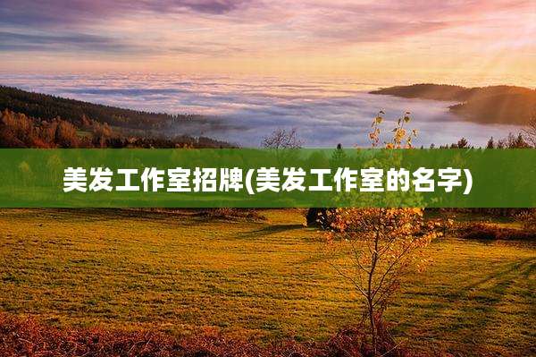 美发工作室招牌(美发工作室的名字)