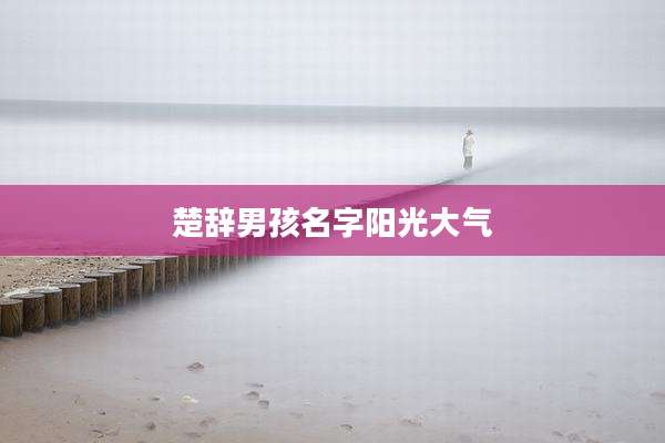 楚辞男孩名字阳光大气