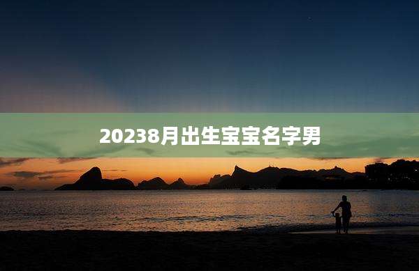 20238月出生宝宝名字男