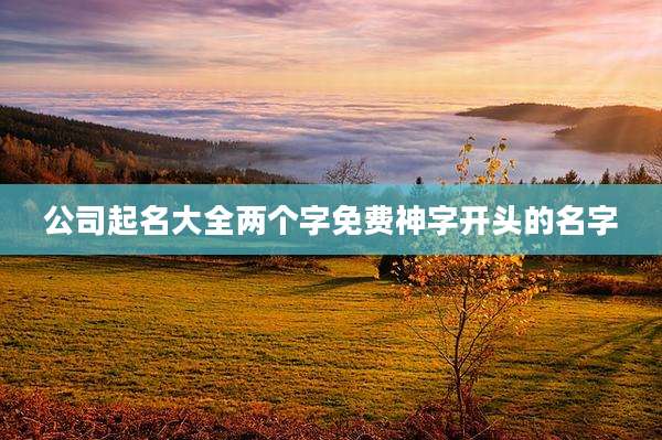 公司起名大全两个字免费神字开头的名字