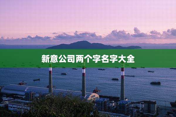 新意公司两个字名字大全