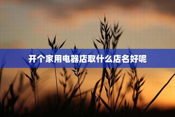 开个家用电器店取什么店名好呢