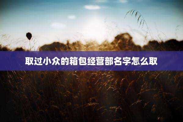 取过小众的箱包经营部名字怎么取