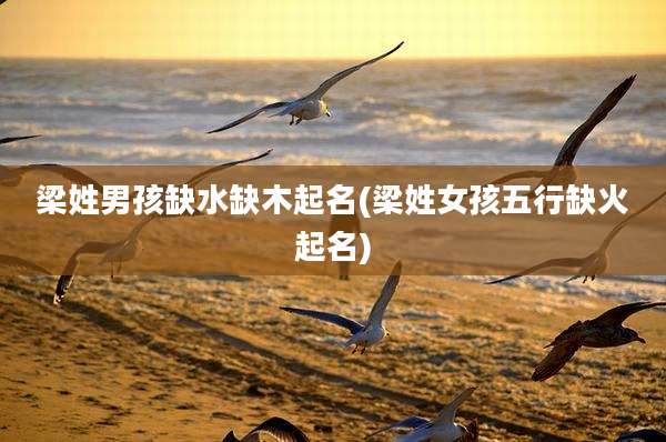 梁姓男孩缺水缺木起名(梁姓女孩五行缺火起名)