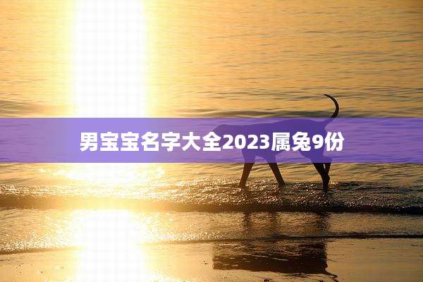 男宝宝名字大全2023属兔9份