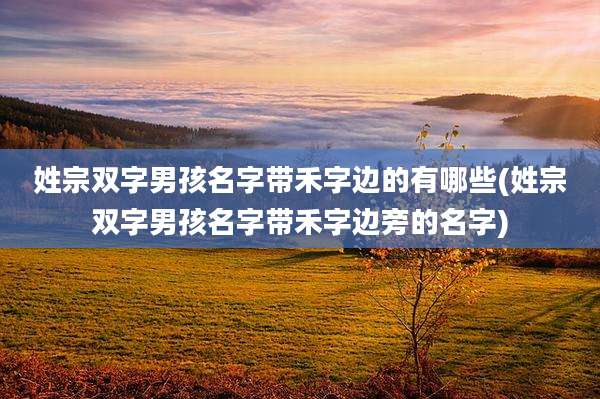 姓宗双字男孩名字带禾字边的有哪些(姓宗双字男孩名字带禾字边旁的名字)