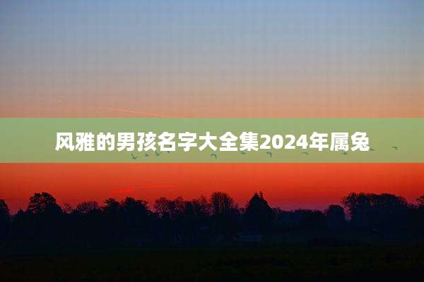 风雅的男孩名字大全集2024年属兔