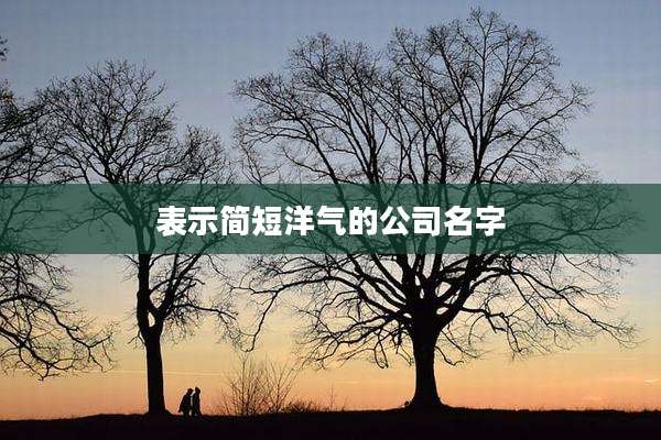 表示简短洋气的公司名字