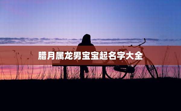 腊月属龙男宝宝起名字大全