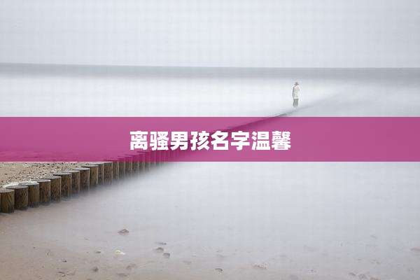离骚男孩名字温馨