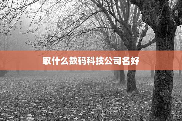 取什么数码科技公司名好