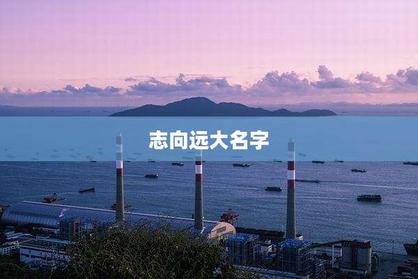 志向远大名字