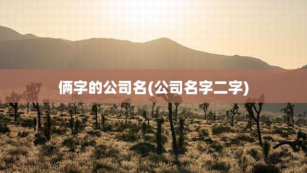 俩字的公司名(公司名字二字)