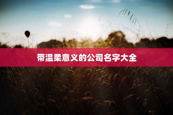 带温柔意义的公司名字大全
