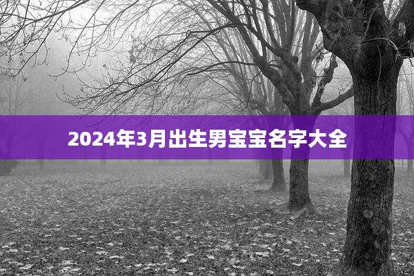 2024年3月出生男宝宝名字大全