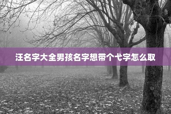 汪名字大全男孩名字想带个弋字怎么取
