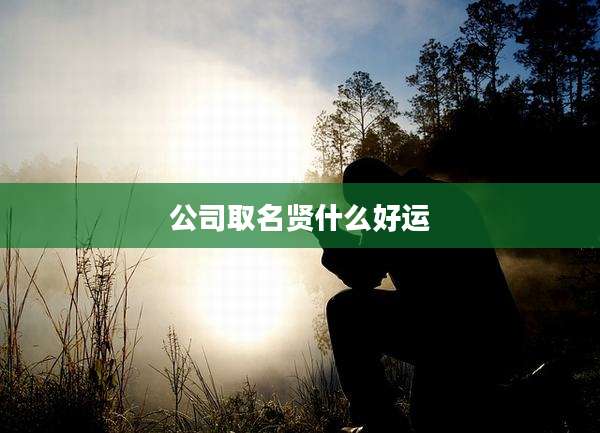 公司取名贤什么好运
