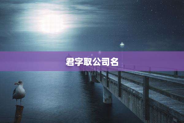君字取公司名