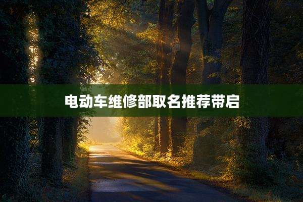 电动车维修部取名推荐带启