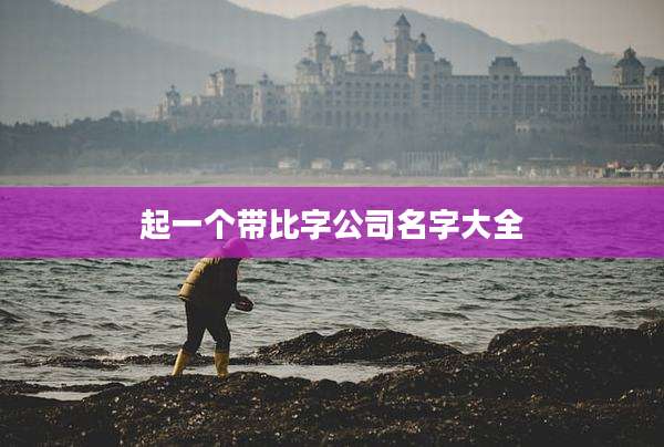 起一个带比字公司名字大全