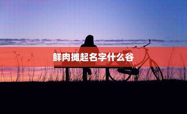 鲜肉摊起名字什么谷