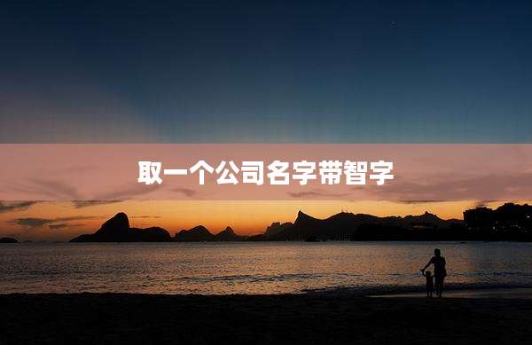 取一个公司名字带智字