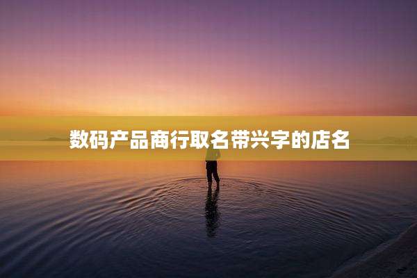 数码产品商行取名带兴字的店名