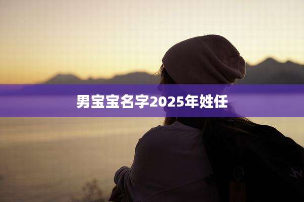男宝宝名字2025年姓任
