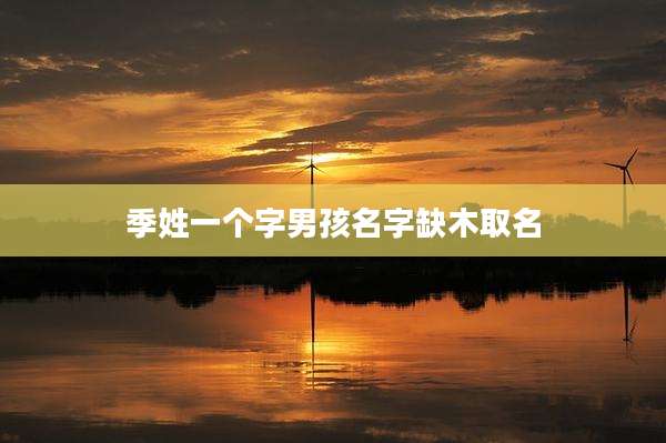 季姓一个字男孩名字缺木取名