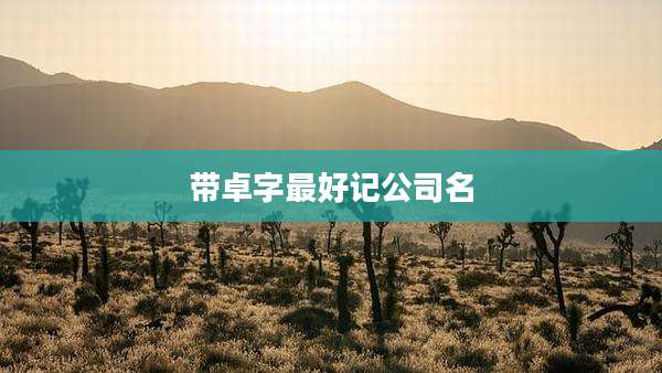 带卓字最好记公司名
