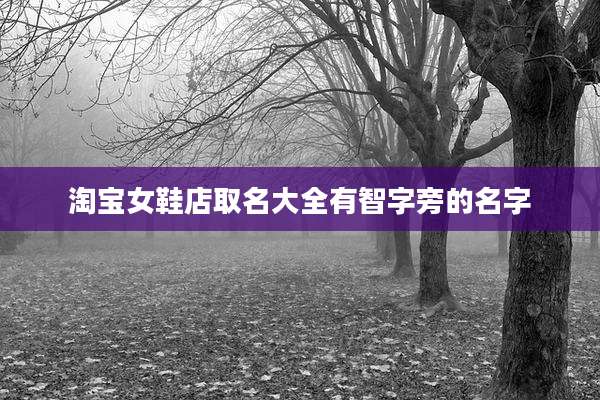 淘宝女鞋店取名大全有智字旁的名字