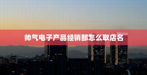 帅气电子产品经销部怎么取店名