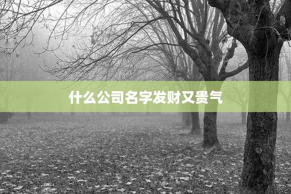 什么公司名字发财又贵气