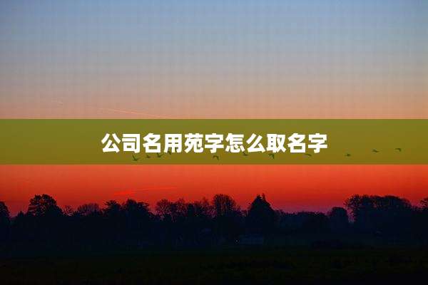 公司名用苑字怎么取名字