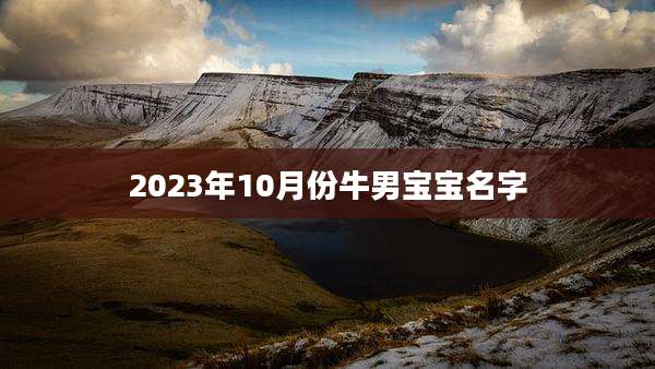 2023年10月份牛男宝宝名字