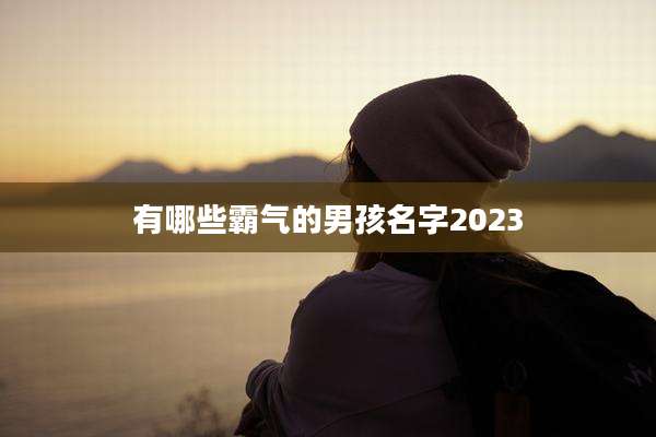 有哪些霸气的男孩名字2023