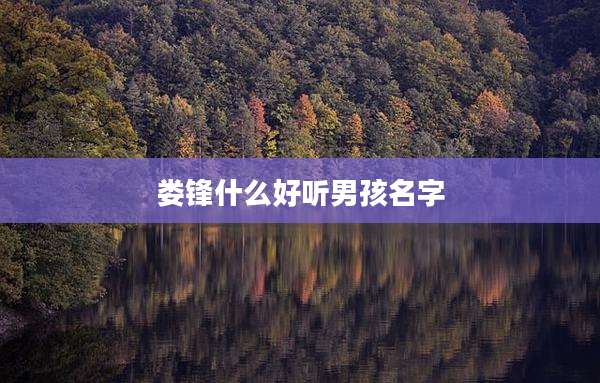 娄锋什么好听男孩名字