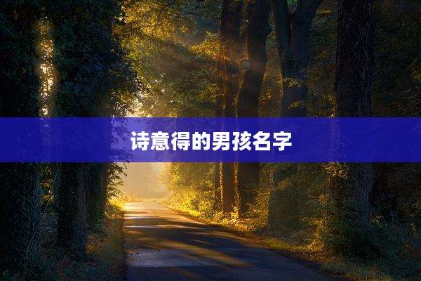 诗意得的男孩名字