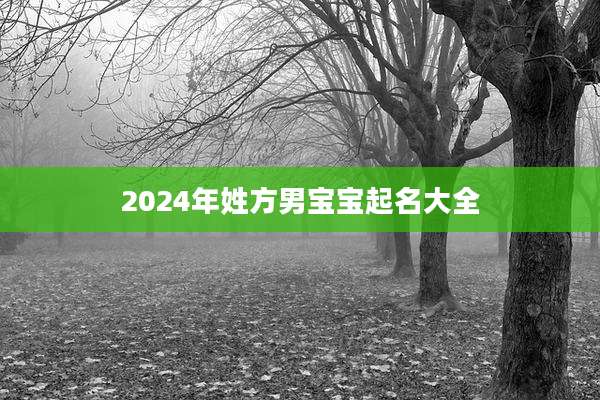 2024年姓方男宝宝起名大全