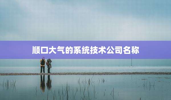 顺口大气的系统技术公司名称