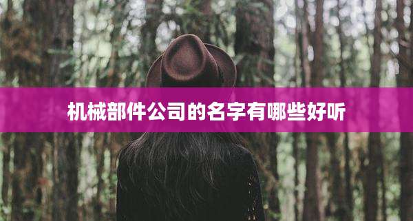 机械部件公司的名字有哪些好听