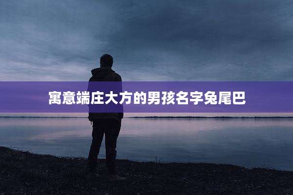 寓意端庄大方的男孩名字兔尾巴