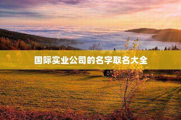 国际实业公司的名字取名大全
