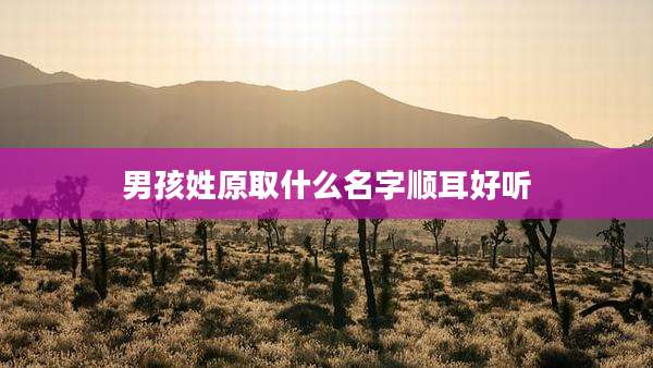 男孩姓原取什么名字顺耳好听