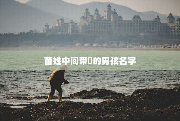 苗姓中间带瑄的男孩名字